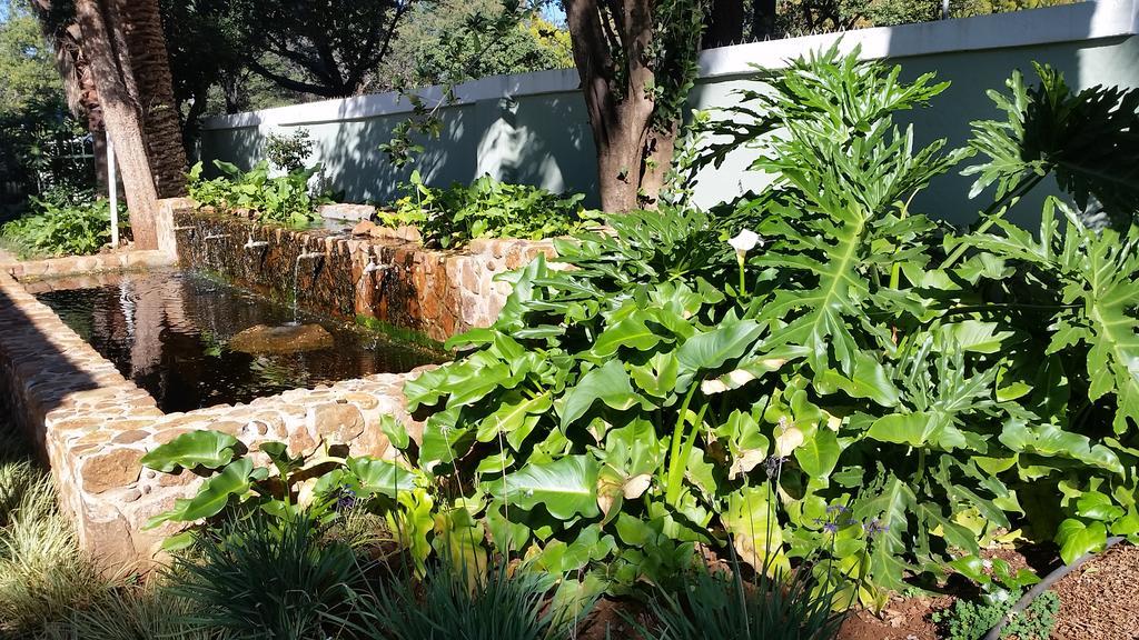 Bauhenia Guesthouse Potchefstroom Extérieur photo
